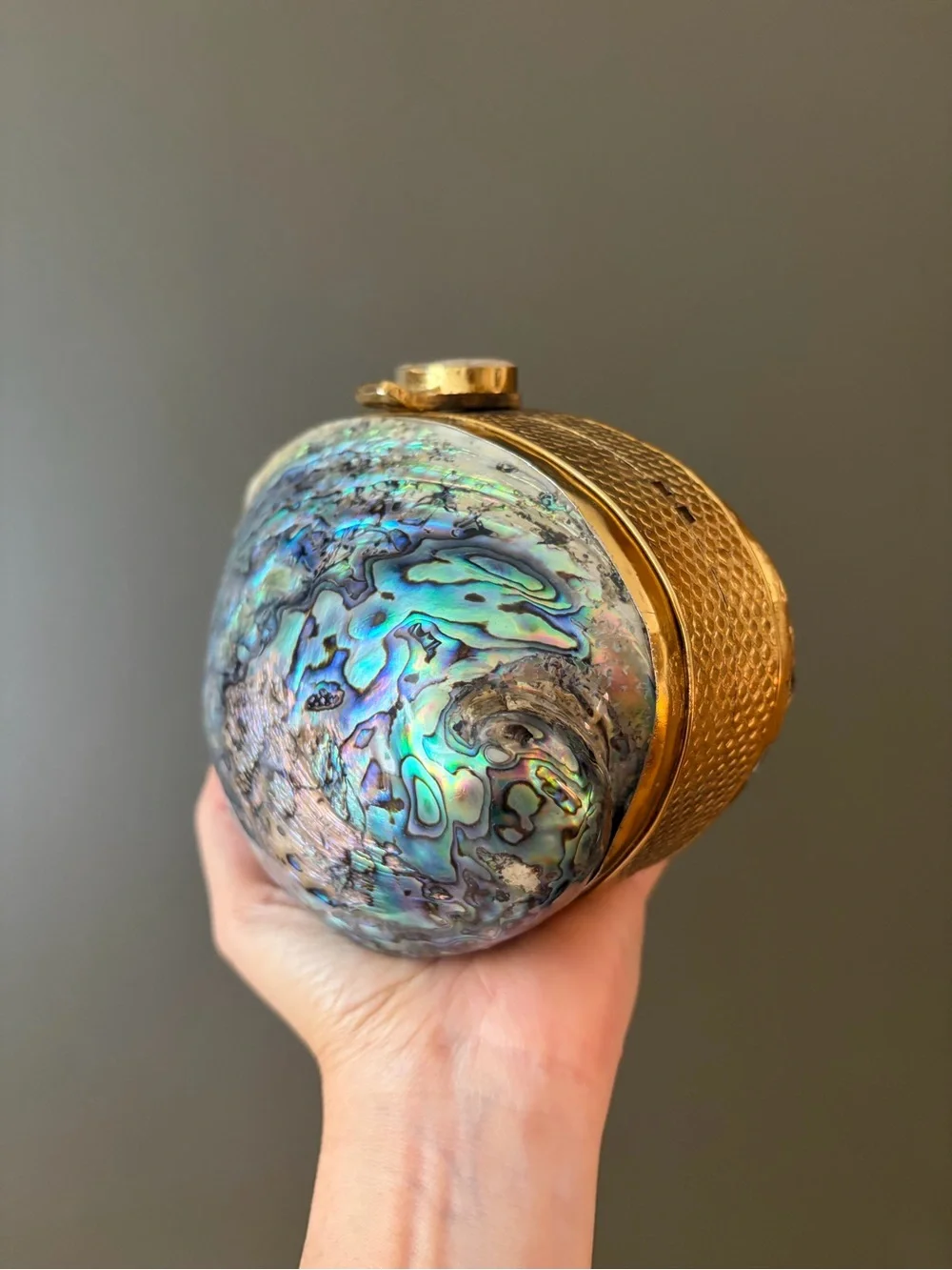 Gold Abalone Shell Minaudière Shoulder Bag